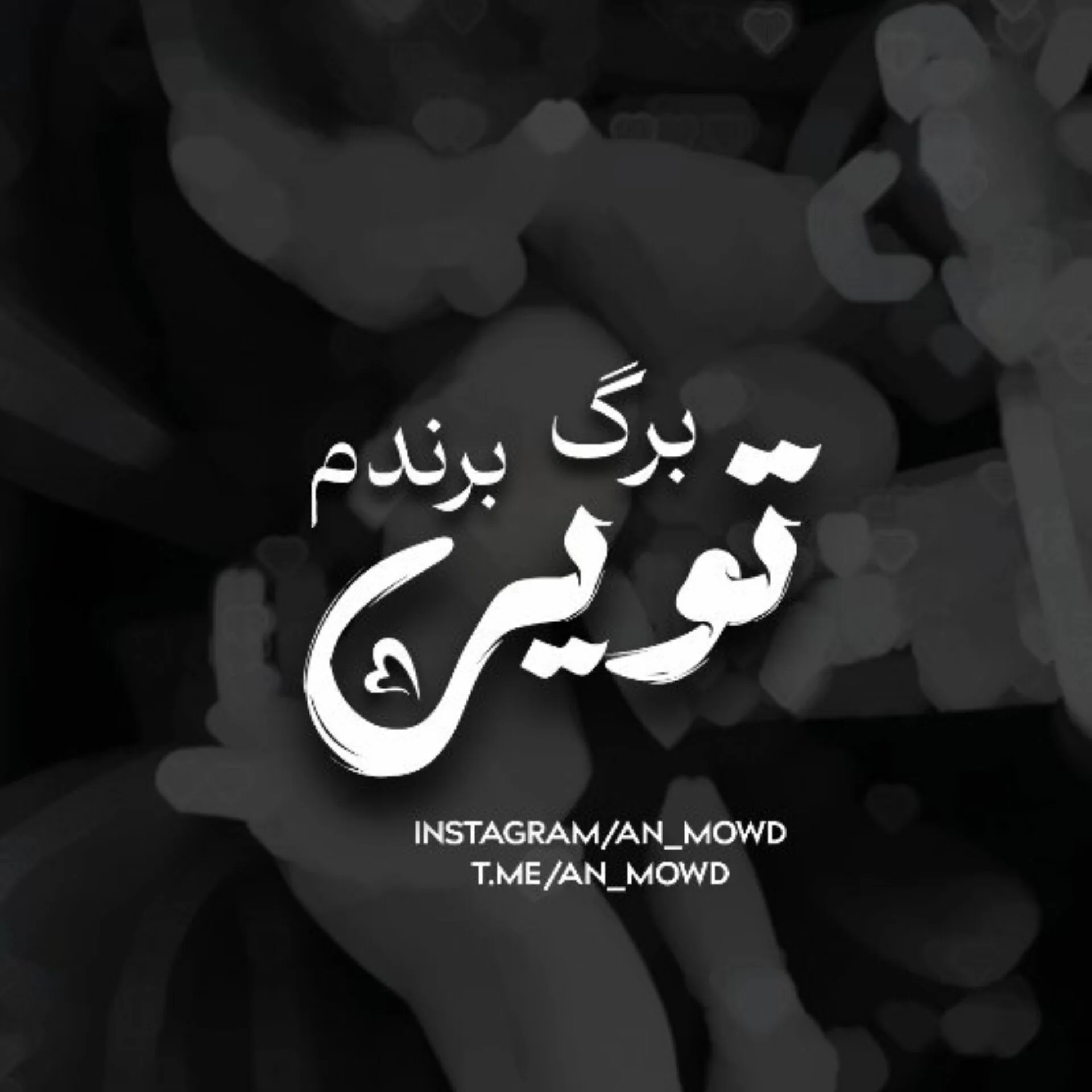نور‌چشمم‌برگ‌‌برنده‌م‌تویی💓✨